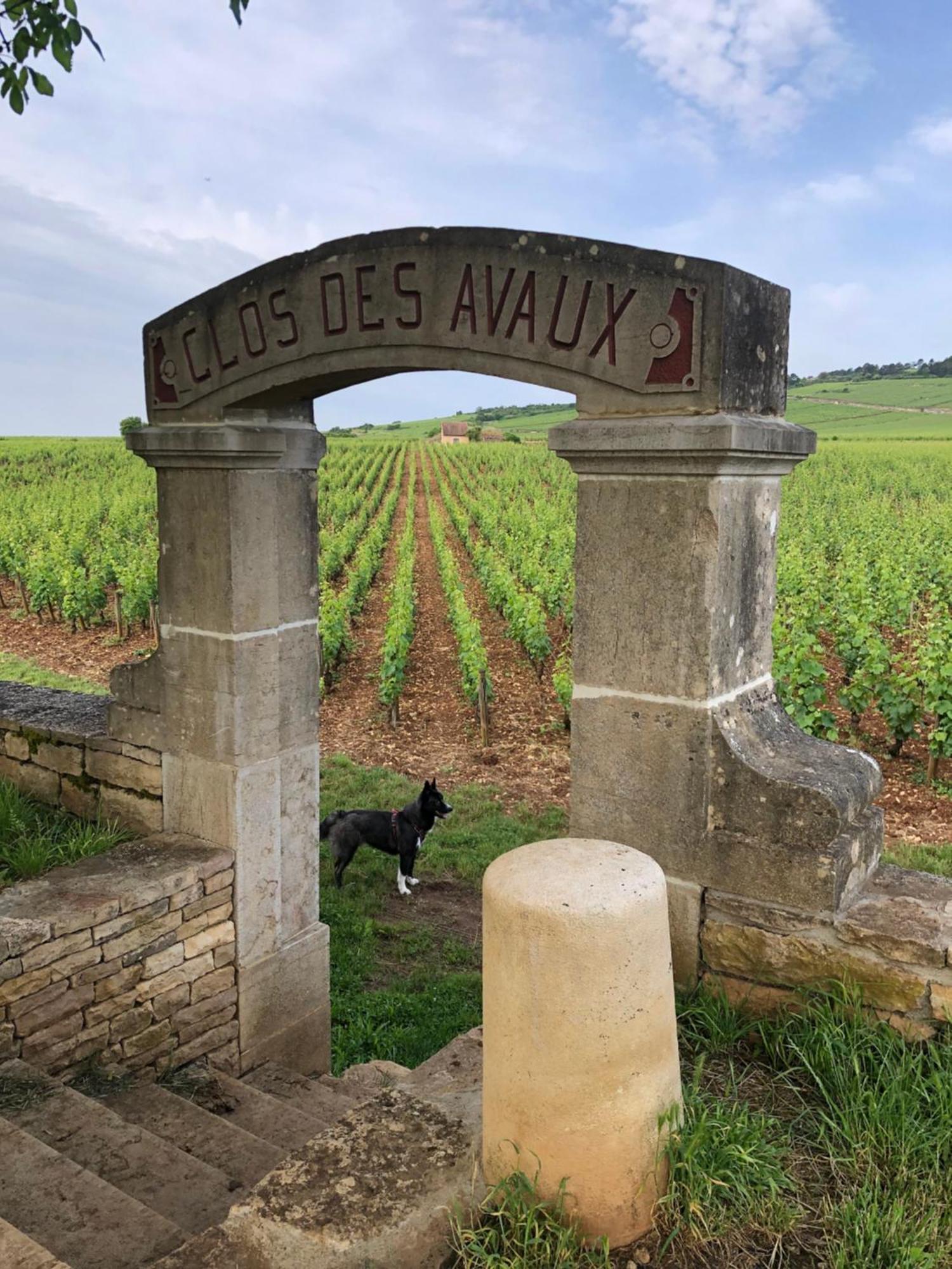 La Route Des Vins Apartment Beaune (Cote d'Or)